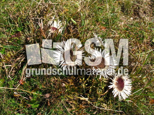 Schweiz Le Chasseral 007.JPG